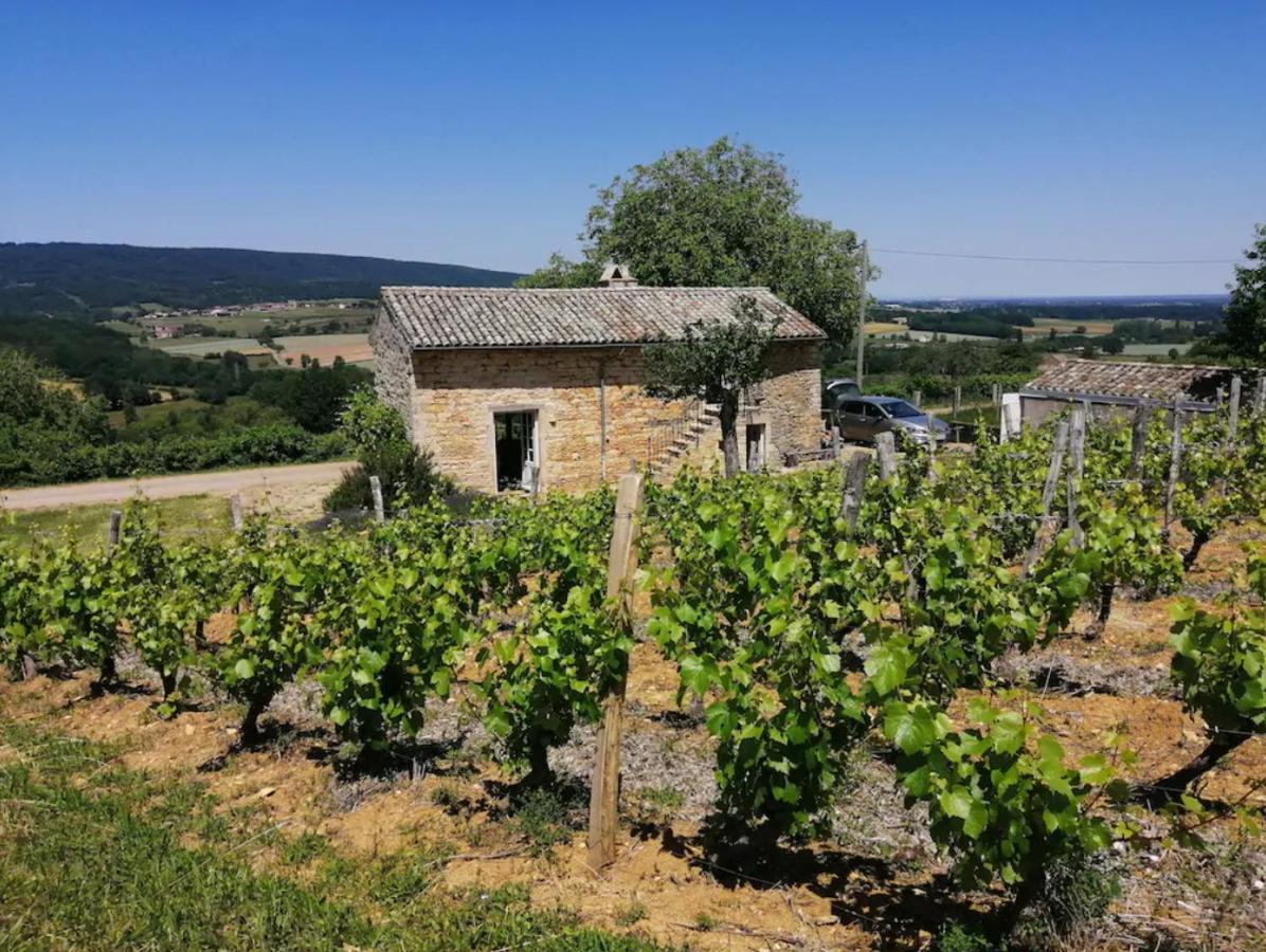 Une Maison De Campagne En Bourgogne Du Sud Tournus Dış mekan fotoğraf